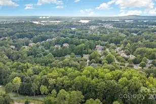 16614 Ruby Hill Pl, Charlotte, NC 28278 - Photo 47