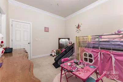 16614 Ruby Hill Place, Charlotte, NC 28278 - Photo 23