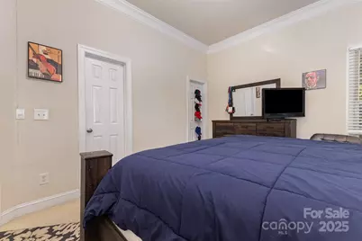 16614 Ruby Hill Place, Charlotte, NC 28278 - Photo 19