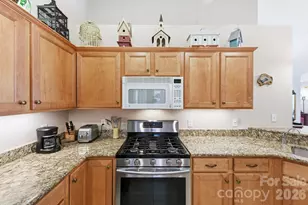 36 Craggy Vis Dr, Swannanoa, NC 28778 - Photo 13