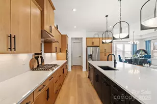 5300 Mint Hbr Wy, Charlotte, NC 28269 - Photo 21