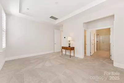 45419 Misty Bluff Drive, Charlotte, NC 28278 - Photo 27