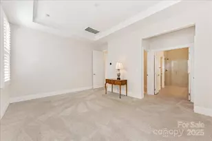 45419 Misty Bluff Dr, Charlotte, NC 28278 - Photo 27