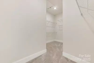 45419 Misty Bluff Drive, Charlotte, NC 28278 - Photo 29