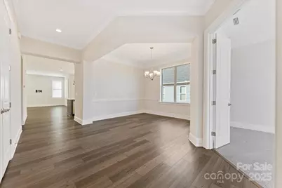 45419 Misty Bluff Drive, Charlotte, NC 28278 - Photo 3