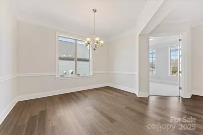 45419 Misty Bluff Drive, Charlotte, NC 28278 - Photo 7