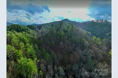 295 Bennett Branch Road, Green Mountain, NC 28740 - Photo 17