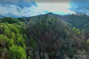 295 Bennett Branch Rd, Green Mountain, NC 28740 - Photo 17