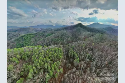 295 Bennett Branch Road, Green Mountain, NC 28740 - Photo 9