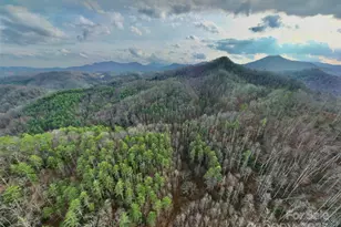 295 Bennett Branch Rd, Green Mountain, NC 28740 - Photo 9