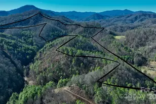 295 Bennett Branch Rd, Green Mountain, NC 28740 - Photo 13