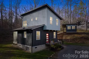 24 Lower Grassy Branch Rd, Asheville, NC 28805 - Photo 47