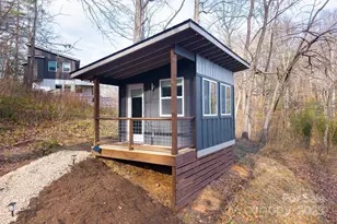 24 Lower Grassy Branch Rd, Asheville, NC 28805 - Photo 39