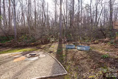 24 Lower Grassy Branch Road, Asheville, NC 28805 - Photo 31