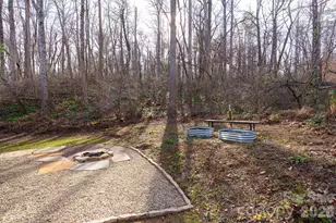 24 Lower Grassy Branch Rd, Asheville, NC 28805 - Photo 31