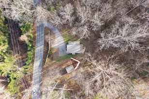 24 Lower Grassy Branch Rd, Asheville, NC 28805 - Photo 47