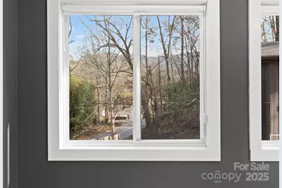 24 Lower Grassy Branch Road, Asheville, NC 28805 - Photo 41