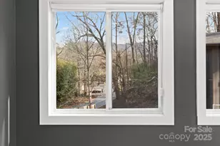 24 Lower Grassy Branch Rd, Asheville, NC 28805 - Photo 41