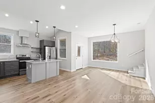 24 Lower Grassy Branch Rd, Asheville, NC 28805 - Photo 11