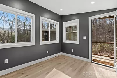 24 Lower Grassy Branch Road, Asheville, NC 28805 - Photo 41