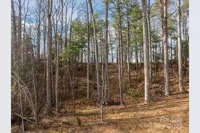 99999 Twin Lakes Drive, Flat Rock, NC 28792 - Photo 15