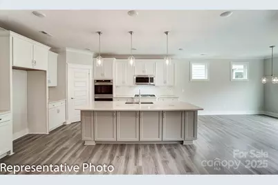 1003 Cedar Falls Drive, Waxhaw, NC 28173 - Photo 11