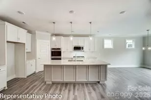 4010 Cedar Fls Dr, Waxhaw, NC 28173 - Photo 11