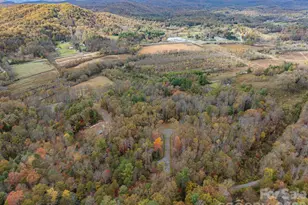 20 Nature Walk Ln, Etowah, NC 28739 - Photo 41