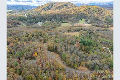 20 Nature Walk Lane, Etowah, NC 28739 - Photo 43