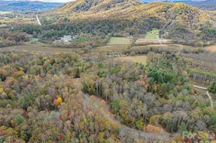 20 Nature Walk Ln, Etowah, NC 28739 - Photo 43