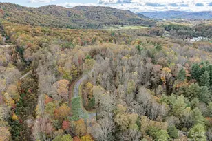 20 Nature Walk Ln, Etowah, NC 28739 - Photo 25