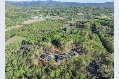20 Nature Walk Lane, Hendersonville, NC 28739 - Photo 23