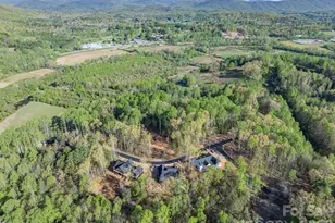 20 Nature Walk Ln, Hendersonville, NC 28739 - Photo 23