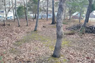 335 Heather Ct, Asheville, NC 28804 - Photo 15