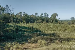 1339 Liberty Rd, Chester, SC 29706 - Photo 25