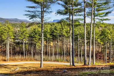 183 Crest View Drive NE #55, Nebo, NC 28761 - Photo 17