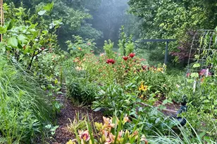 200 Nimitz Dr, Brevard, NC 28712 - Photo 43