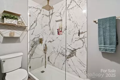 16144 Tana Tea Circle, Tega Cay, SC 29708 - Photo 19