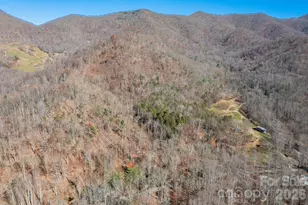 190 Blackberry Inn Rd, Weaverville, NC 28787 - Photo 29