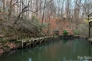 1090 N Saunders Dr, Catawba, NC 28609 - Photo 43