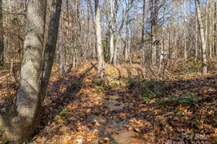 152 Golden Crk Trl, Union Mills, NC 28167 - Photo 19