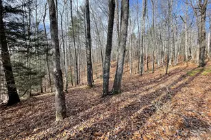 102 Knobster Wy, Glenville, NC 28736 - Photo 37