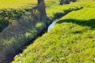 618 Brook Knoll Cir, Weaverville, NC 28787 - Photo 3