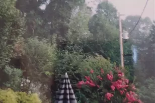 707 Lickskillet Rd, Burnsville, NC 28714 - Photo 11