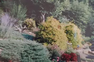 707 Lickskillet Rd, Burnsville, NC 28714 - Photo 9