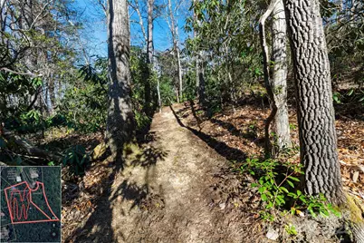 9999 North Fork Road #5 & 6, Black Mountain, NC 28711 - Photo 23