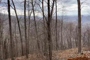 Lot 6 Andrew Banks Rd, Burnsville, NC 28714 - Photo 5