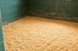 4462 1 Hoover Rd, Lawndale, NC 28090 - Photo 37