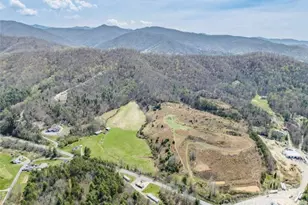 87 Barnardsville Hwy, Weaverville, NC 28787 - Photo 1