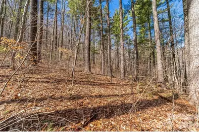 99999 Parker Road, Asheville, NC 28805 - Photo 3